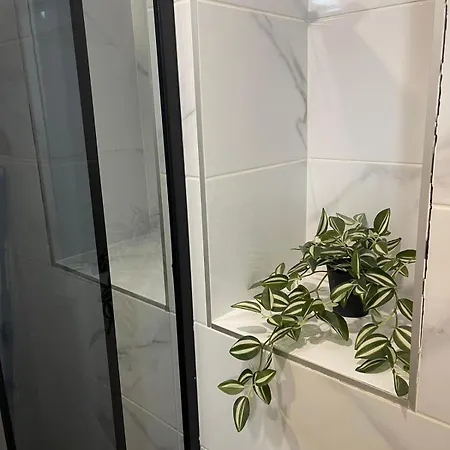 Center Of * Варна